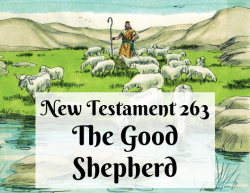 NT 263 - The Good Shepherd